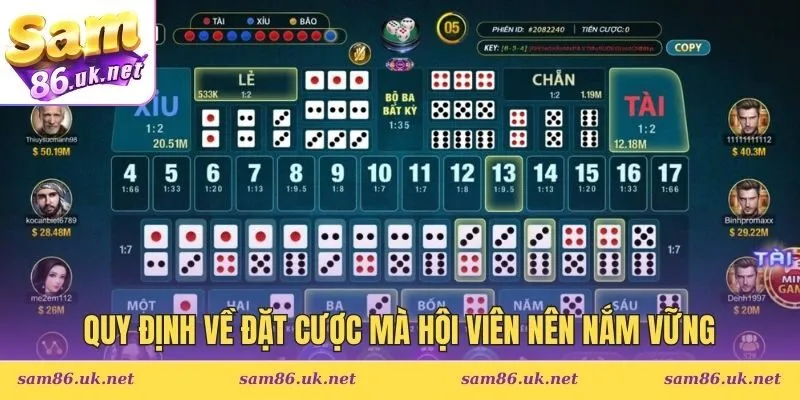 Quy định về đặt cược mà hội viên nên nắm vững trước khi chơi