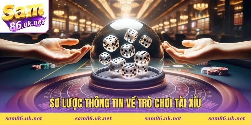 Sơ lược thông tin về trò chơi tài xỉu
