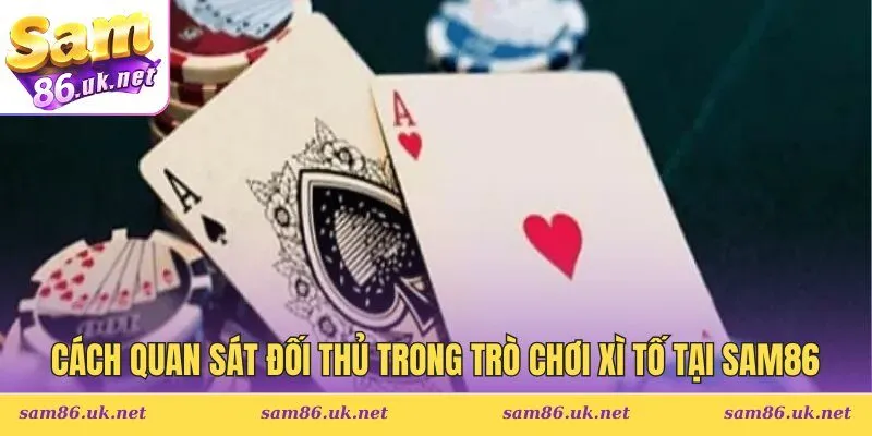 Quan Sát Đối Thủ Trong Trò Chơi Xì Tố